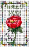 (image for) Peony